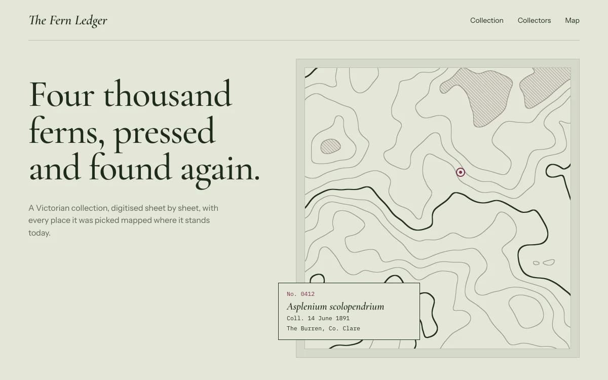 Botanical Archive specimen: A natural-history drawer: specimen captions, calligraphic serif, herbarium paper and contour maps.